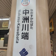 [일본/후쿠오카] DAY1: 후쿠오카공항에서 더 라이블리 후쿠오카 하카타 나카스카와바타역 지하철로 이동! 안 어려움
