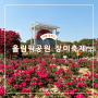 서울 올림픽공원 장미광장 장미축제 들꽃마루 유채 양귀비 실시간