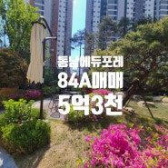 청주 동남지구 에듀포레 84A 매매 5억 3천만