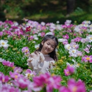 경주 작약 명소 만개한 작약꽃 피오니 서악 도봉서당의 고즈넉함