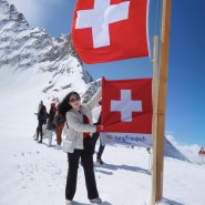 스위스 여행 코스ㅣ인터라켄 융프라우 가는 법 투어 추천