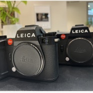 라이카 SL2로 찍은 사진들 (feat. Leica)