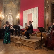 오스트리아 여행 빈 가볼만한곳 꽃보다할배 비엔나 바로크 음악회