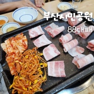 부산 부암동 맛집, 부산시민공원 대패삼겹살 내돈내산, 88대패