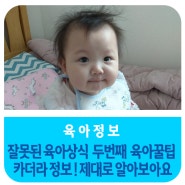 잘못된 육아상식 두번째 육아꿀팁 카더라 정보 제대로 알아보아요