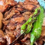 숯불 고기 덮밥과 시원칼칼한 우동이 맛있는 창원 중앙동 맛집 하쿠로