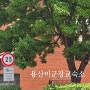 용산 미군기지 장교숙소 5단지