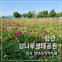 함안 강나루생태공원 청보리작약축제 엔딩 축제현황