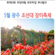2024 조대장미축제 광주 조선대학교 장미원 5월