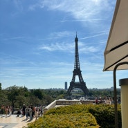 파리 지라프 예약 트로카데로 광장 에펠탑 뷰 맛집