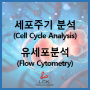 [Applications] Flow cytometry를 이용한 세포주기 (Cell Cycle ) 분석