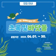 [프로그램 안내] 초록초록한 계절에 찾아온 6월의 #동해바다힐링 초록빛 바닷물, #가족프로그램 #강릉여행