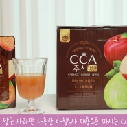 양배추 당근 사과만 사용한 아침식사 대용으로 마시는 CCA주스