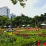 목동 파리 공원 ( + 주차, 분수대 운영시간 ) ❤️