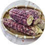 옥수수요리 냉동옥수수 삶는 법 찌기 해동없이 전자렌지 찌는법