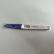 [짧았던 임신 기록] 임신 8주차 계류유산 소파술 후기(이천 양정분산부인과)