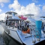 [7번째 GUAM] 내돈내산, 괌 돌고래 호핑투어 괌돌핀크루즈 "파란크루즈" 이용후기