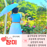 전국 5월 꽃축제 추천명소 서울중랑구 곡성세계 삼척장미축제
