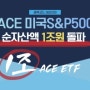 ACE 미국S&P500 순자산액 1조원 돌파!!