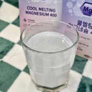 맛있는 고함량 마그네슘 추천 쿨멜팅마그네슘400