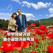 [원주 단구동 곱창 맛집] 용수골 꽃양귀비 축제에서 꽃구경하시고 횡성한우 곱창 알천에서 행복한 저녁시간 보내세요^^