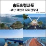 부산의 해안가 다리전망대 feat. 송도용궁구름다리, 청사포다릿돌전망대