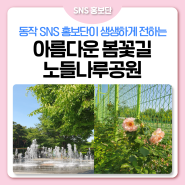 푸르른 5월, 서울의 아름다운 봄꽃길 노들나루공원에 다녀왔습니다