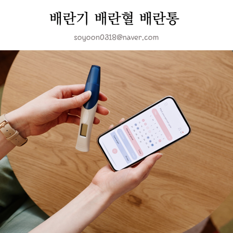 배란일 가임기 계산법 배란혈 원인 배란기 증상 배란통 시기 : 네이버 블로그