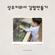 두돌놀이활동 | 두돌아기 상추기르기 김밥 요리하기 집콕놀이 아이랑함께놀이