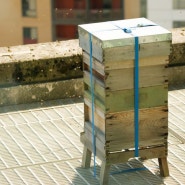 Save the Bees, 꿀벌을 지키는 도시양봉