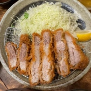 히로시마 현지인 맛집, 히로시마 돈카츠 키쿠야 오픈런 후기 とんかつ 菊屋