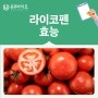 [온유바이오] 토마토에 많이 함유된 라이코펜 효능은??