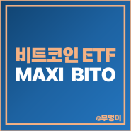 비트코인 관련주 월배당 고배당 미국 ETF 투자 방법 MAXI BITO