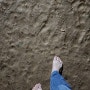 비엔날레 호수 공원 황톳길 늦은 밤 맨발 걷기(제24차)