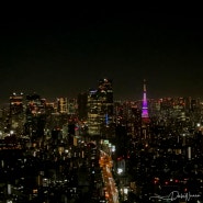 도쿄 시부야 스카이 예약방법 가는법 전망대 시간 야경 후기