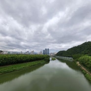 울산여행 태화강동굴피아 갔다가 태화강전망대 높은곳에서의 경치를~~