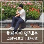 # - 나이키 덩크로우 그레이 포그 : 화이트 (가격, 사이즈 팁 방출!)