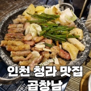 인천 청라 곱창 맛집 | 곱창남 방문 후기