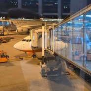 제주항공 인천-방콕 7C 2205 / 방콕-인천 7C 2204편 , 제주항공 비즈니스 라이트 탑승 후기