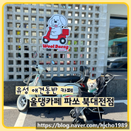 대전 관평동 애견동반 카페 울댕카페 파쏘 북대전점 잔디 운동장 스콘 대박적