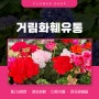[인천/남동구] 특별한 날 마음을 담아 선물하는 꽃 :: 거림화훼유통