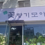 대전 내동 꽃집을 만나는 기쁨