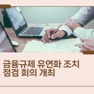 금융규제 유연화 조치 점검회의 개최