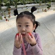 3/9 :: 5살같은 7살 육아일기: 딸기 체험