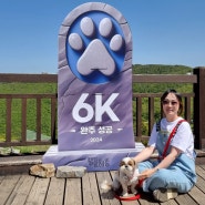 강아지랑 갈만한 곳 글로벌6K와 함께하는 댕댕트레킹 산 전체가 강아지운동장