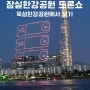 서울국제정원박람회 뚝섬한강공원에서 잠실한강공원 드론쇼 주차꿀팁