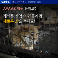 [Avaaz 청원 동참요청] 개식용 산업 속 개들에게 새로운 삶을 주세요!