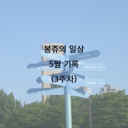 봉쥬의 일상. 24년 5월 기록(3주차)