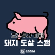 [라이프 해킹] 돼지도살 스캠으로 코인투자 피해 속출