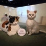 국립민속박물관 요물, 우리를 홀린 고양이 서울 가볼만한 이색전시회 추천